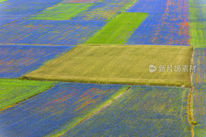 Piano Grande di Castelluccio(意大利)，绿色山丘上的村庄